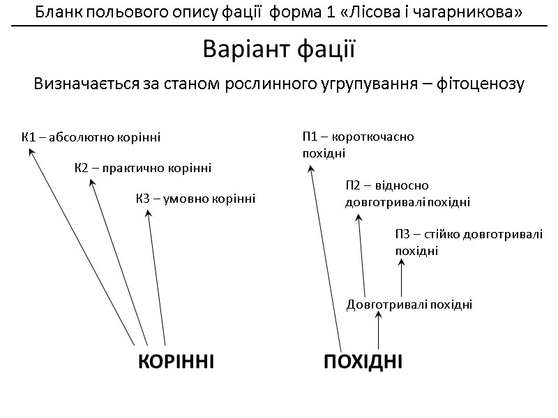 Бланк польового опису фації  форма 1 «Лісова і чагарникова»    __________________________________________________________